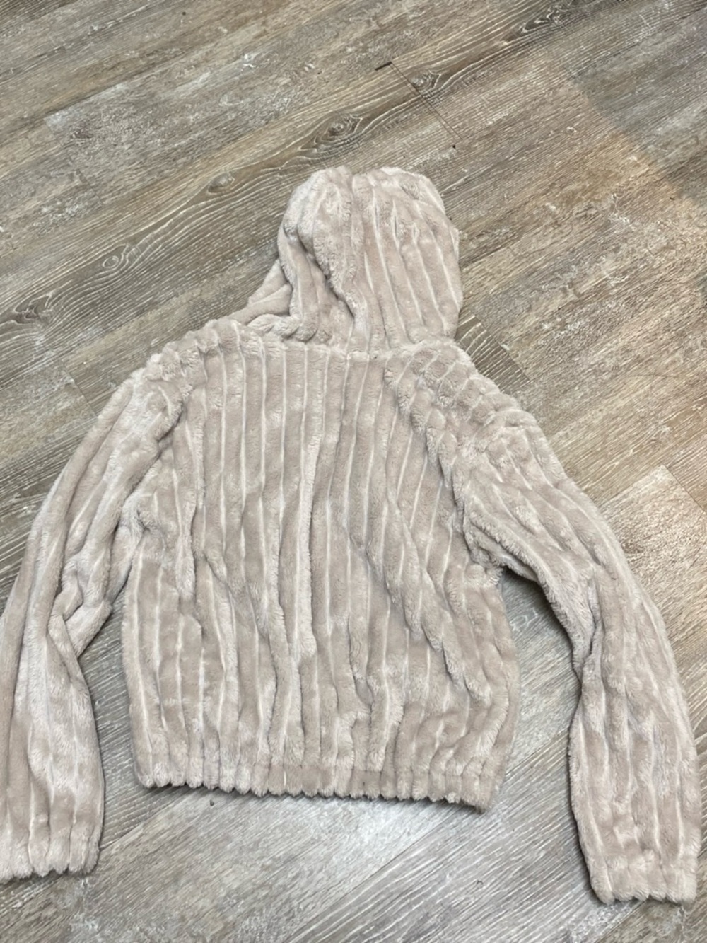 Plush Hooded Teddy Jacket in Light Beige - Picture 3 of 4